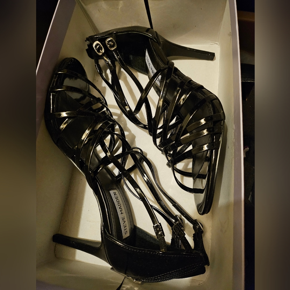 Steve madden